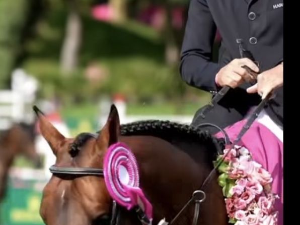 S&aacute;nchez-Cozar tercero en el Derby de Dinard. Guerdat el ganador.